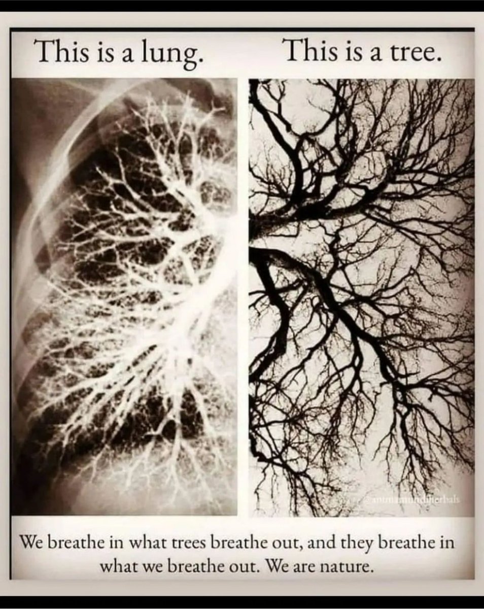 Harshit Singh tweet media