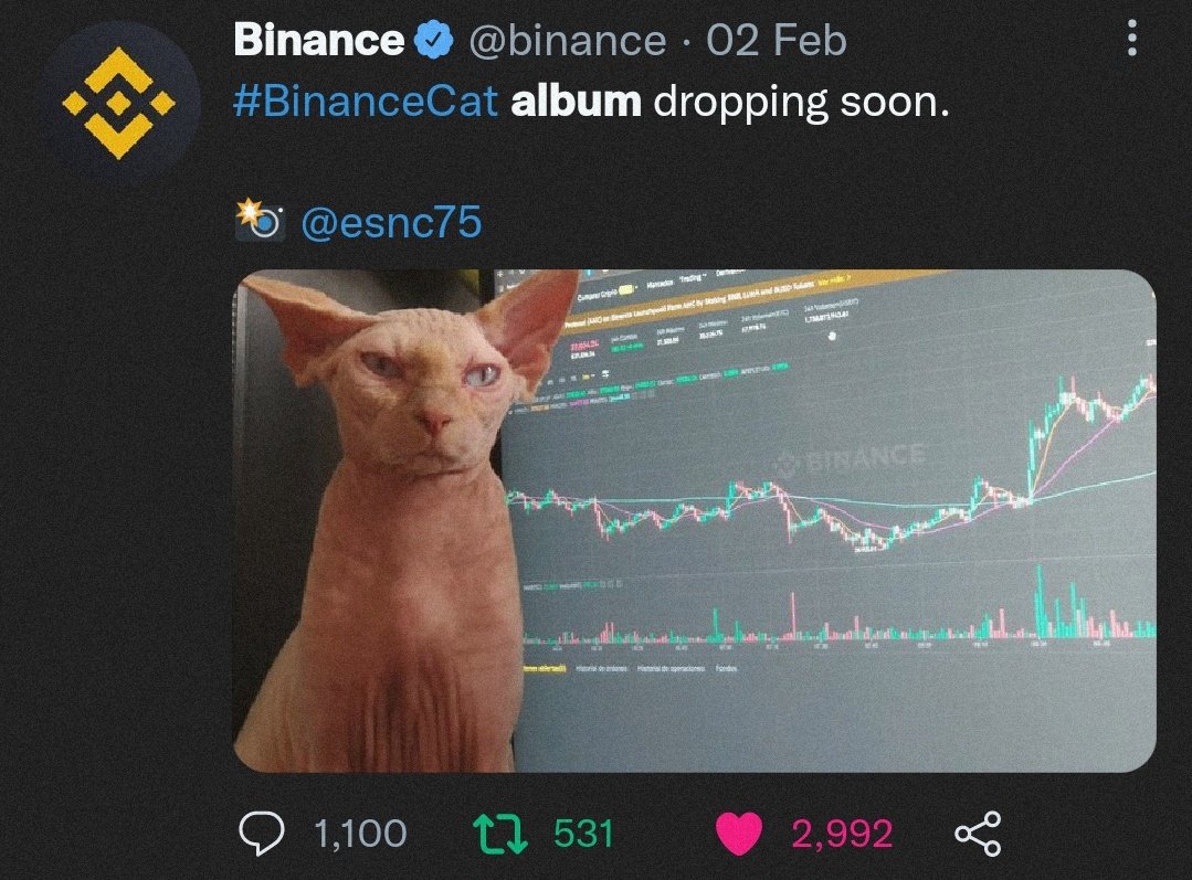 emmancudiamat's tweet photo. I've had too much of twitter tbh. Here's your hopium for tonight. LOL
How can you not say these are connected? Probably nothing, but what if? 🤣
#catecoin #RiseOfCats #BinanceCat #nextshib #100xgem #CateArmy #TAParmy https://t.co/xaoLs6pYUu