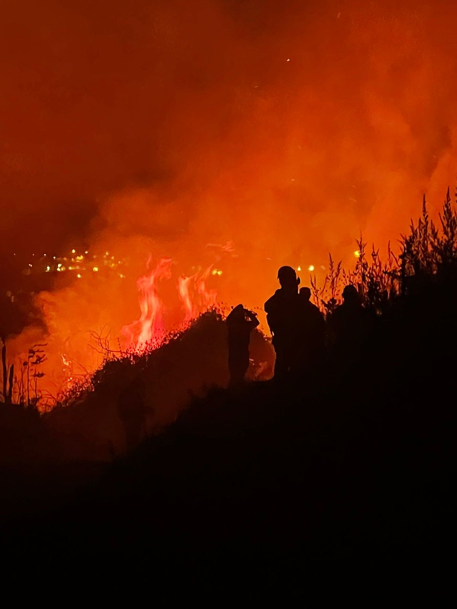 PrimeraThno's tweet photo. 👨‍🚒 Continúa el trabajo de nuestros #bomberos en segunda alarma de #incendioforestal en el Cerro La U.

Un nuevo turno de primerinos trabaja esta mañana en la emergencia, en conjunto con otras compañías del @CBTalcahuano y @conaf_minagri.

👨‍🚒🚒 https://t.co/t1YYP66oz5