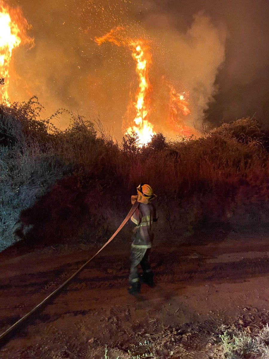 PrimeraThno's tweet photo. 👨‍🚒 Continúa el trabajo de nuestros #bomberos en segunda alarma de #incendioforestal en el Cerro La U.

Un nuevo turno de primerinos trabaja esta mañana en la emergencia, en conjunto con otras compañías del @CBTalcahuano y @conaf_minagri.

👨‍🚒🚒 https://t.co/t1YYP66oz5