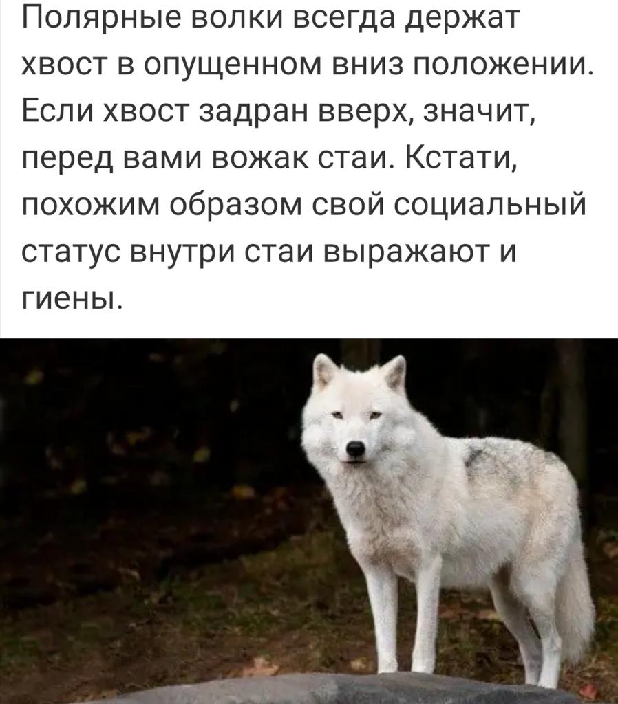💐Olga brosh🌺💥 (@9ucgrcsab2eekou) on Twitter photo 