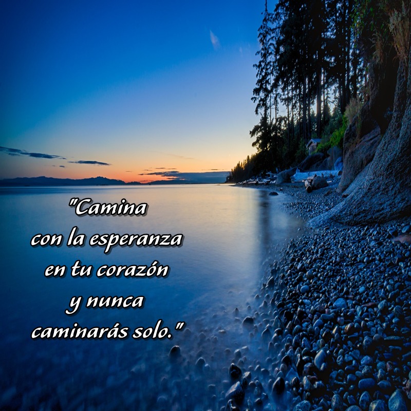 LAPASIONVERDE's tweet photo. https://t.co/tHataHUHVW