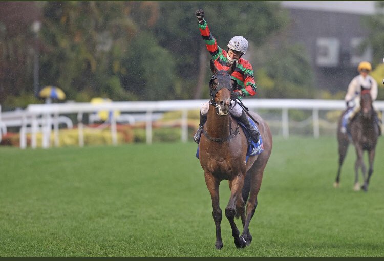 Blake Shinn tweet media