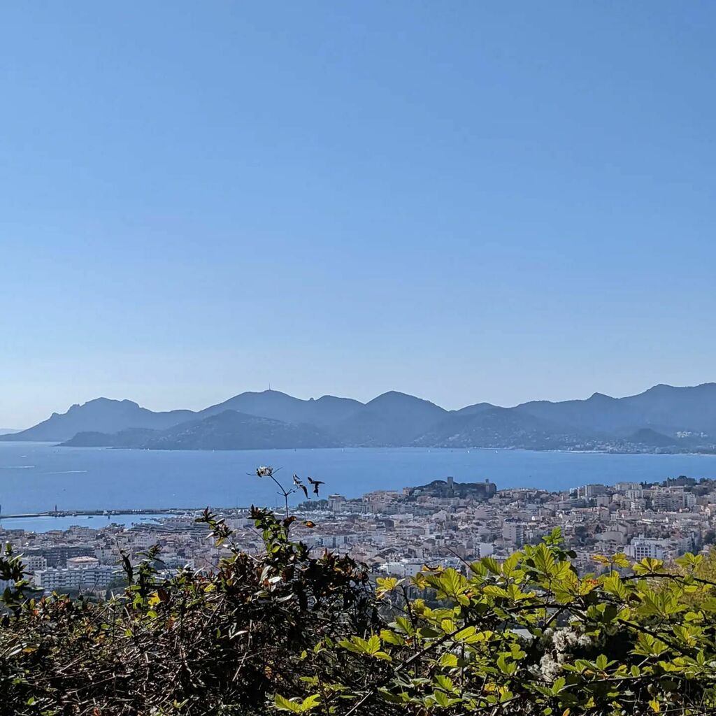 jbonnel's tweet photo. #Jogging 🏃 avec vue sur #LeSuquet de #Cannes et le massif de l'#Esterel 🌅⛰️ ✨ #LaPêche #LaForme 👍 #CotedAzurNow #CotedAzurFrance 🌞 https://t.co/RgkdOX230g https://t.co/gwcgGS4K6G
