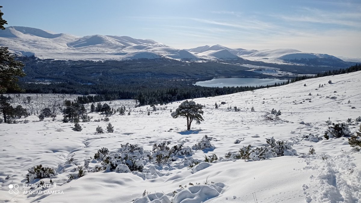 able2adventure_scotland tweet media