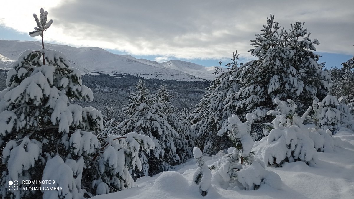 The snow is back! When it's low lying like this its a great excuse to explore the glens and lower hills. Get in touch to book your walk. #walksforall #pathsforall #disabilityinclusion #disabledwalker #disabilityscotland #Cairngorms