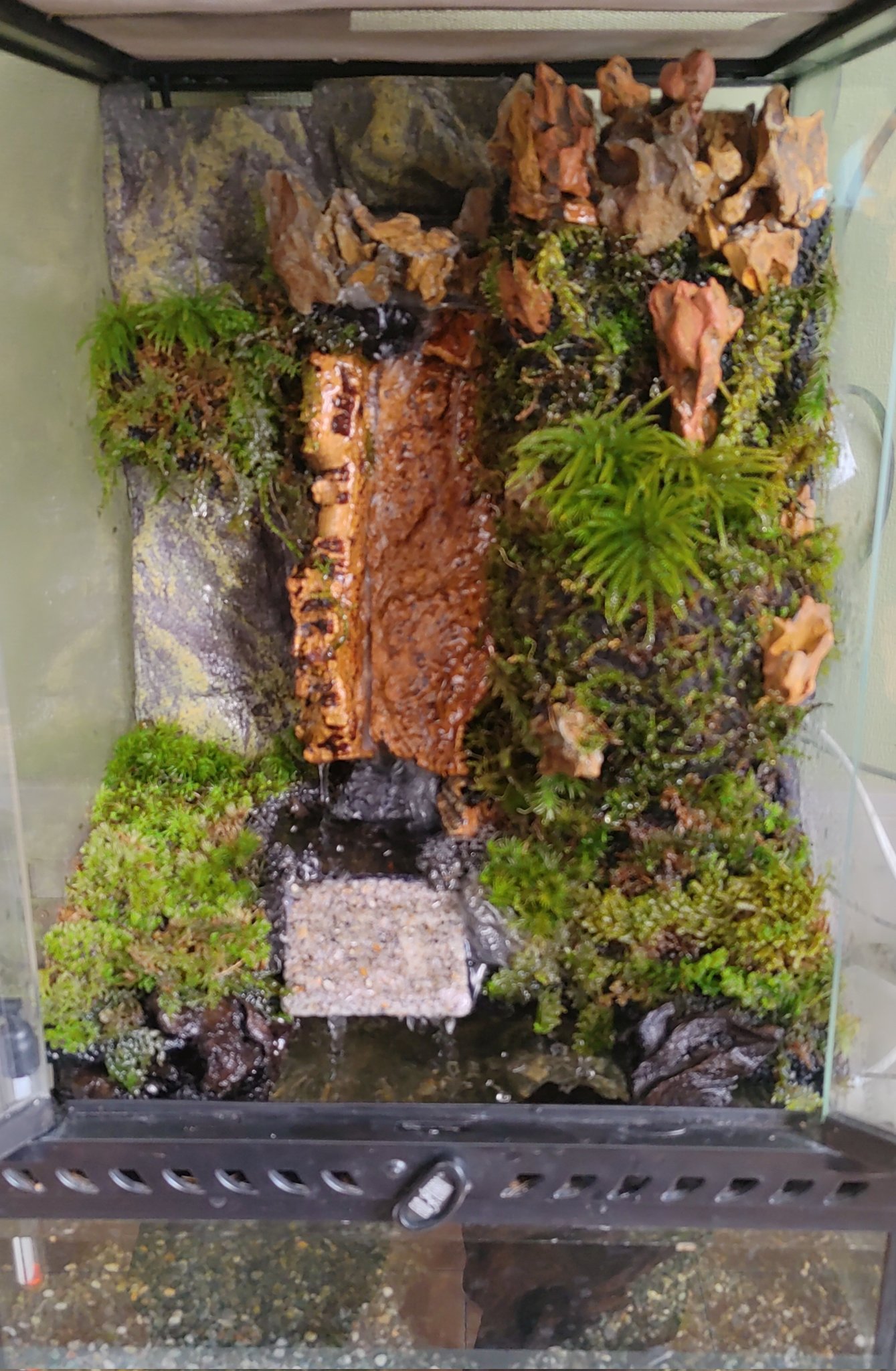 モック 樹脂粘土造形 癒やしが欲しくて作りました これも一応アクアテラリウムかな アカハライモリでも入れるつもりです T Co Y3scmachoo Twitter