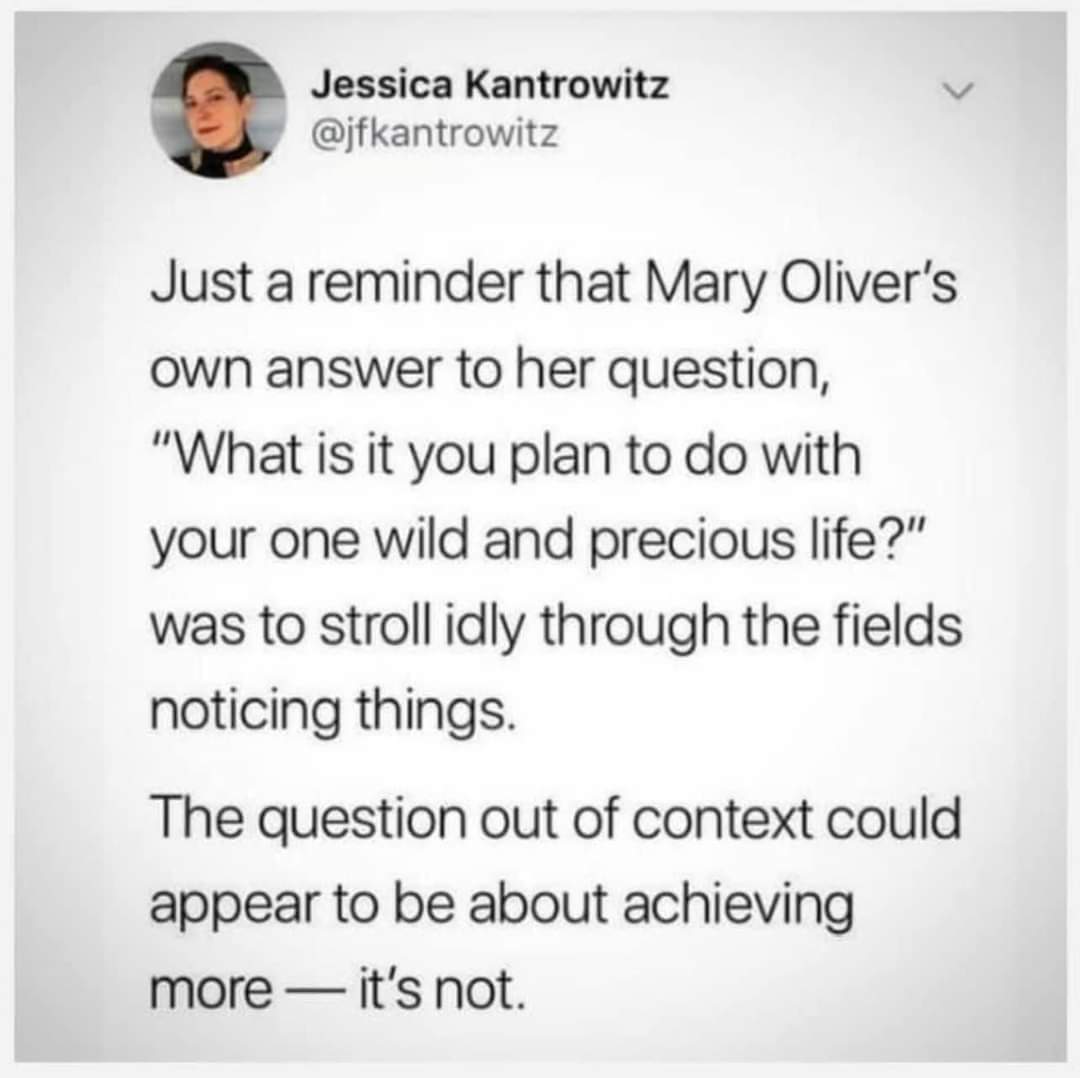 Kryss MacLeod (@kryssmacleod) on Twitter photo 