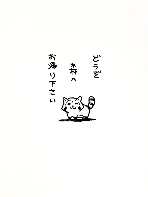招かれざる何かが来たときの
ただの野生のアライグマ 