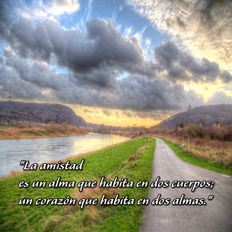 LAPASIONVERDE's tweet photo. https://t.co/m8lMNwlJXT