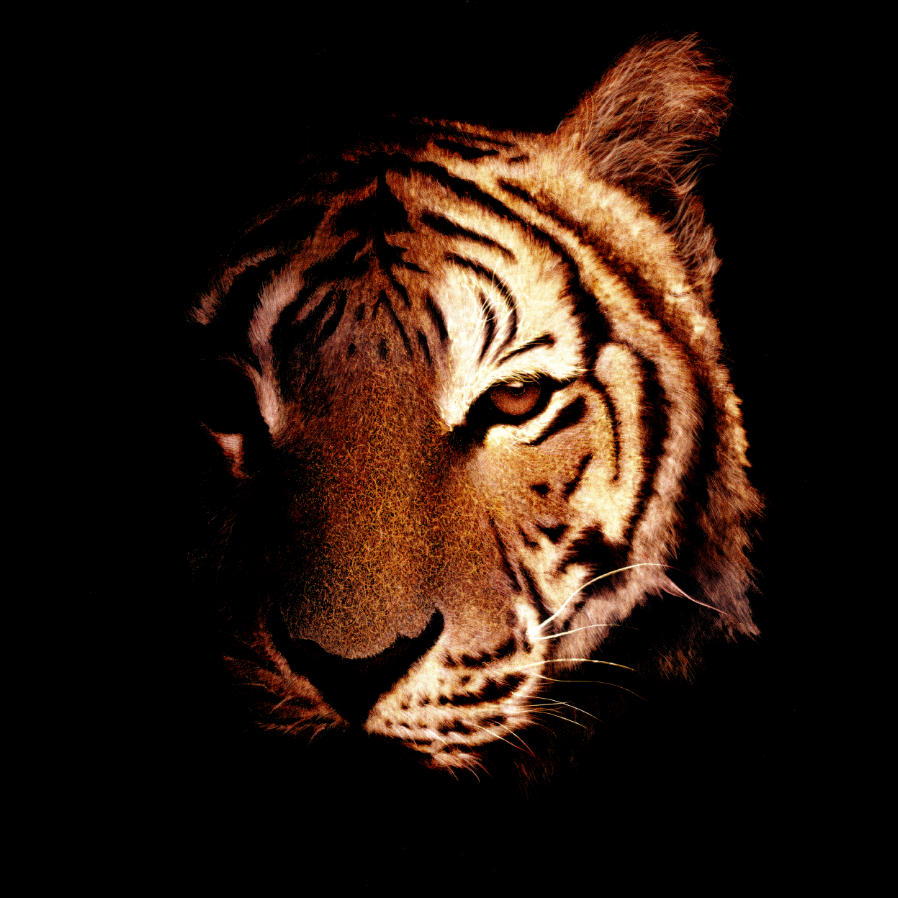 $ETH #NFT #NFTCommunity #unmaskedfire 
the artwork is made by drawing with a razor blade on black photo paper
opensea.io/assets/0x495f9…