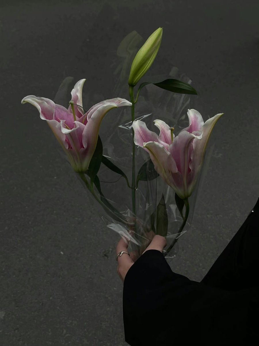 The__Emptiness's tweet photo. 失望其实挺可怕的,比发脾气可怕,发脾气还可以哄,失望不行,失望就是说不出来什么感觉,但是永远都有隔阂。 https://t.co/Mxdbaa1uZ5