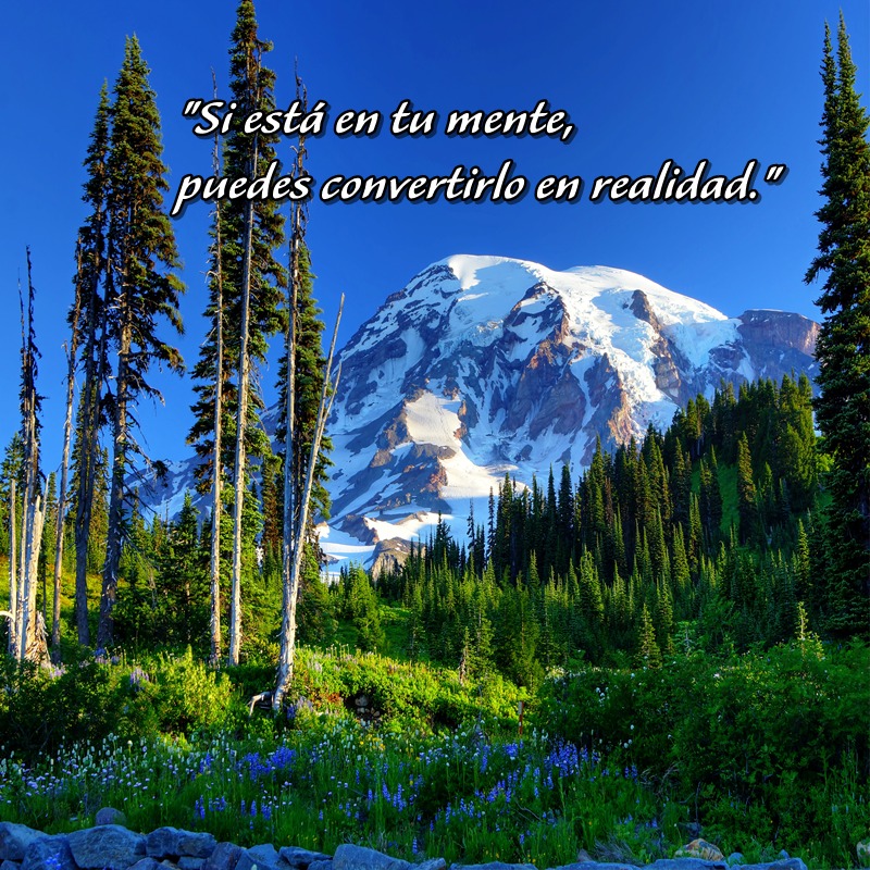 LAPASIONVERDE's tweet photo. https://t.co/8Dm1CLcPO0