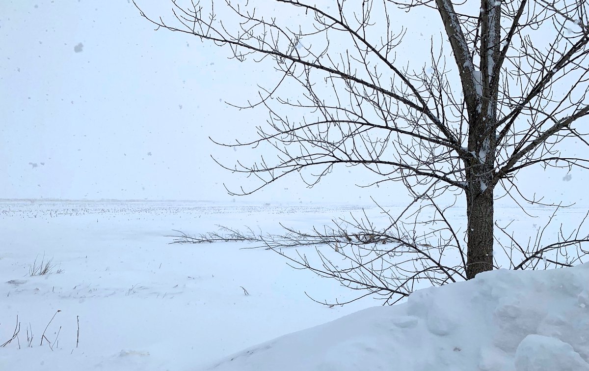 tulipeAbba's tweet photo. That's what a Snow Storm looks like in Québec...It's beautiful and sunny today. The calm after the #storm...❄️🌞#winterstorm #wintervibes #winterquebec
my iPhone https://t.co/GkiN4zgHRb
