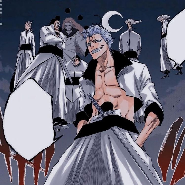 _DailyBleach's tweet image. Arrancar : Grimmjow