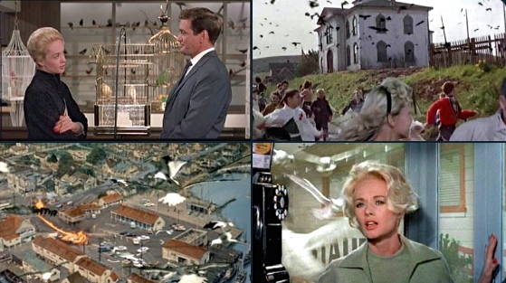 BoldenSkip's tweet image. Alfred Hitchcock's, The Birds (1963)