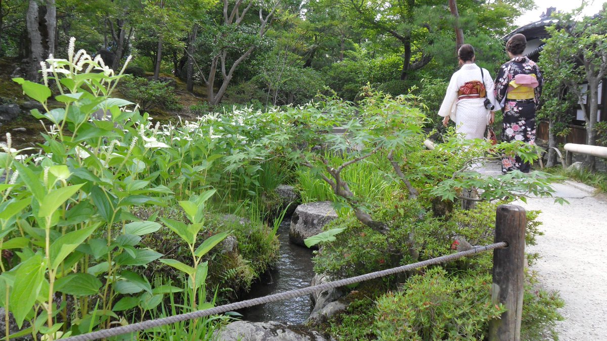 Onze nieuwe nieuwsbrief is uit! Met de favoriete plant van Jasper Helmantel, de passie van Pieter Jansma, een lekker tuinrecept van Sifra Timmermans, een stuk over de bodem van Peter Zwager en niet te vergeten een update van onze Floriade Expo inzending! 
wildeweelde.nl/nieuwsbrief-wi…