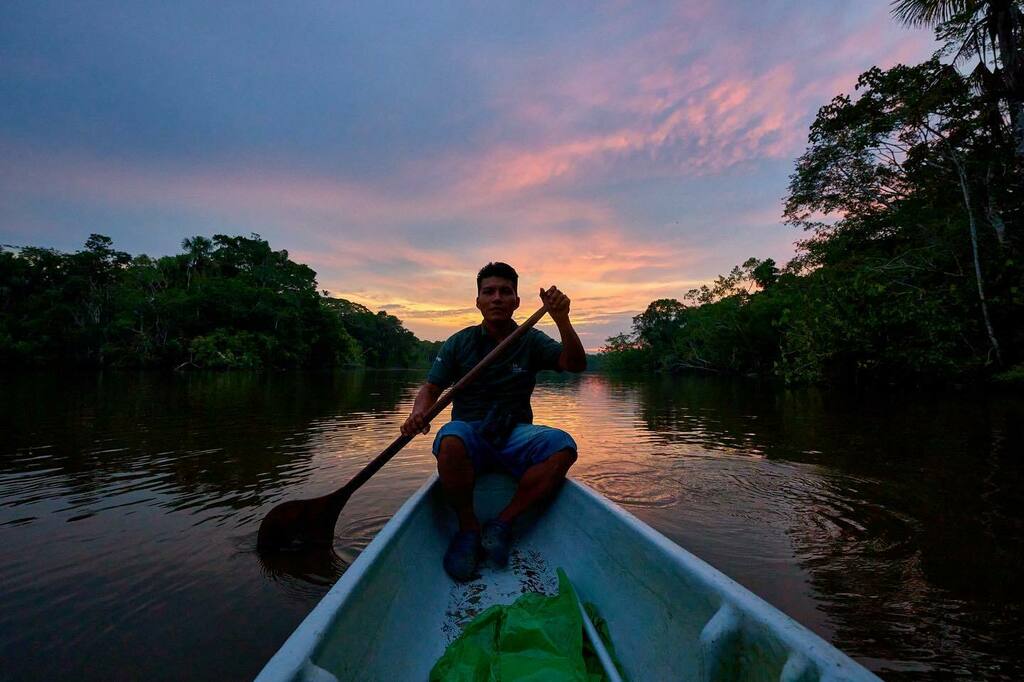 JoeMcNallyPhoto's tweet photo. Sunset at @selvalodge in the Ecuadorian Amazon. @nikonusa Z 9 in the jungle. 14-24mm f2.8, shot as the night deepens. Back from 2 weeks in one of the most amazing places on earth.
#sundaymornings #nikonambassadors #nikonz9 @selvalodge #ecuador #amazonra… https://t.co/Ipshc9nbSe https://t.co/Z3u3cYI2si