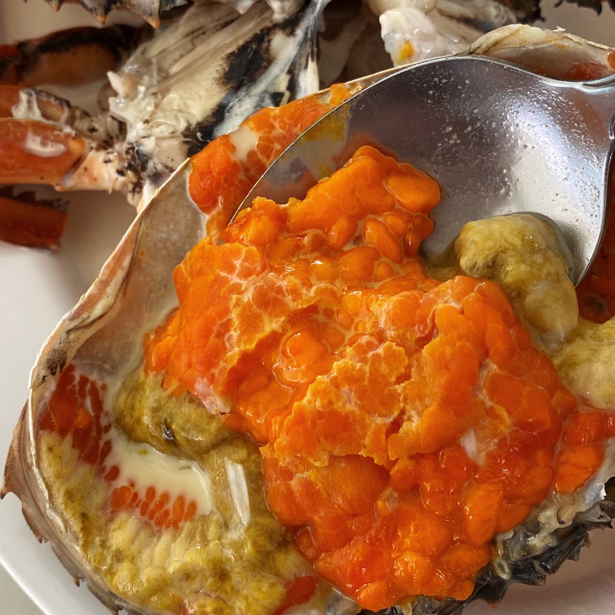 puenpuenreview's tweet photo. กินกับก้อย โดยก้อยมหาชัยซีฟู้ดส์ (พุทธมณฑลสาย 2) 🌟 ร้านอาหารทะเลที่คุณภาพดีมากก สด สะอาด รสชาติดี เมนูแนะนำ ปูไข่นึ่งนมสด นึ่งมาแบบ perfect! 🥺 ไข่เยิ้มๆๆ หวาน มัน กินคู่น้ำจิ้มซีฟู้ดคือที่สุด ต้องไปลองจริงๆร้านนี้ @aroii

#อร่อยบอกต่อ #เพื่อนเพื่อนรีวิว https://t.co/kGL22KXOTg
