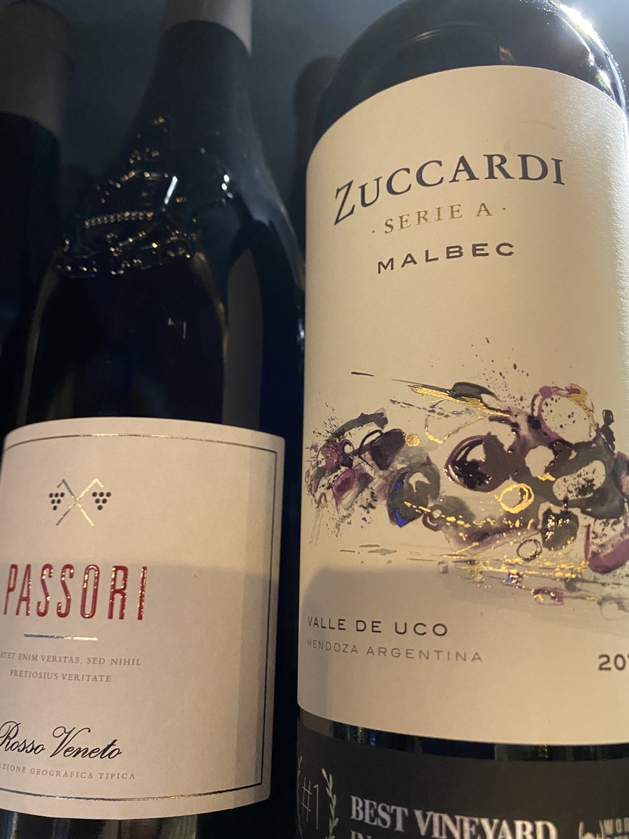 Malbec or Merlot? #greatwines #merlot #malbec