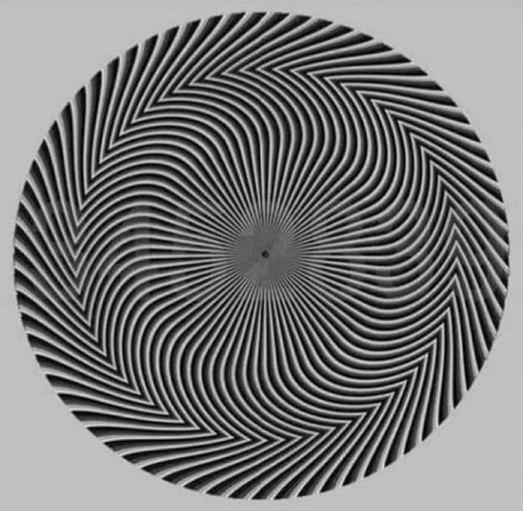 Rob 🚀 tweet media