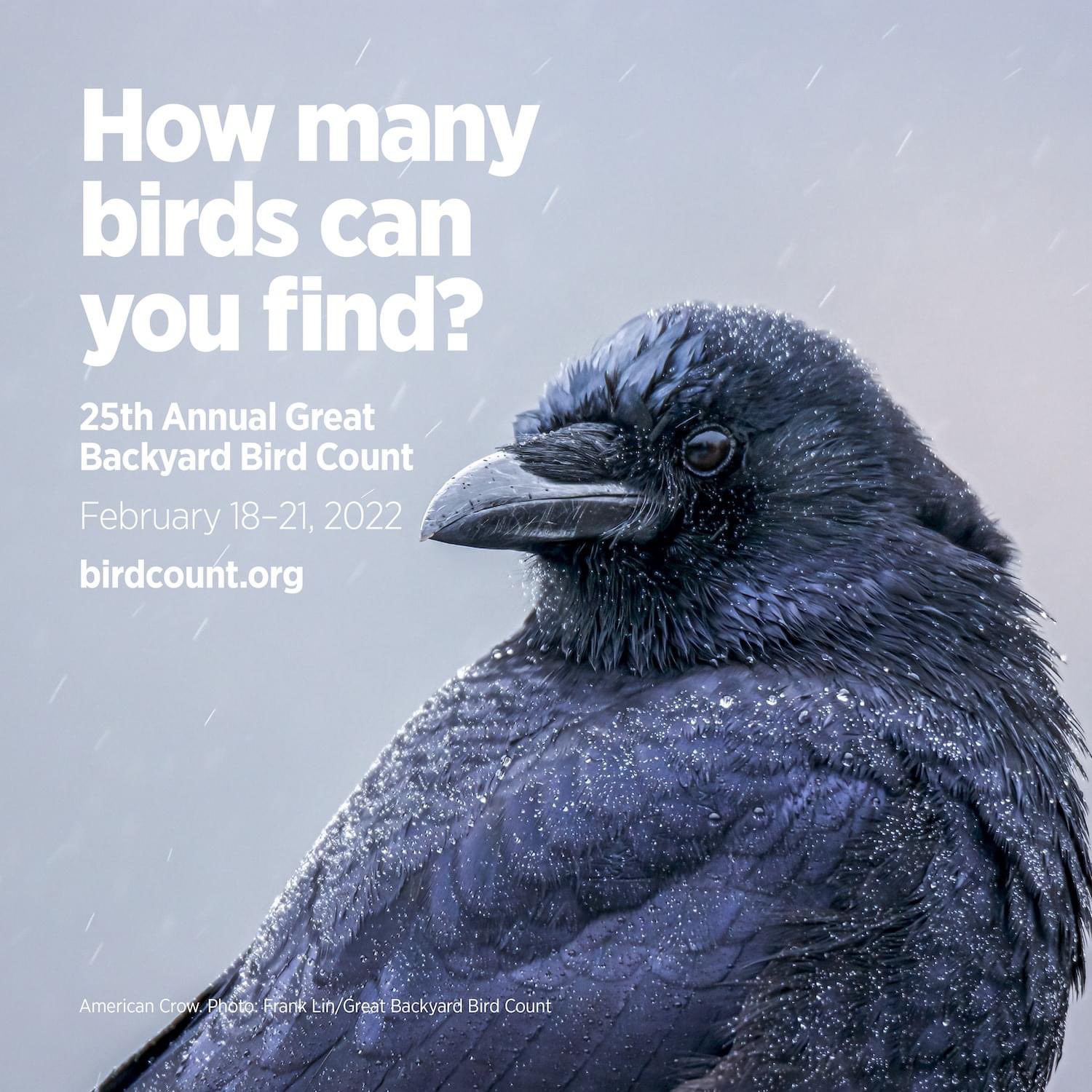 Audubon South Carolina on Twitter: Audubon South Carolina on Twitter: