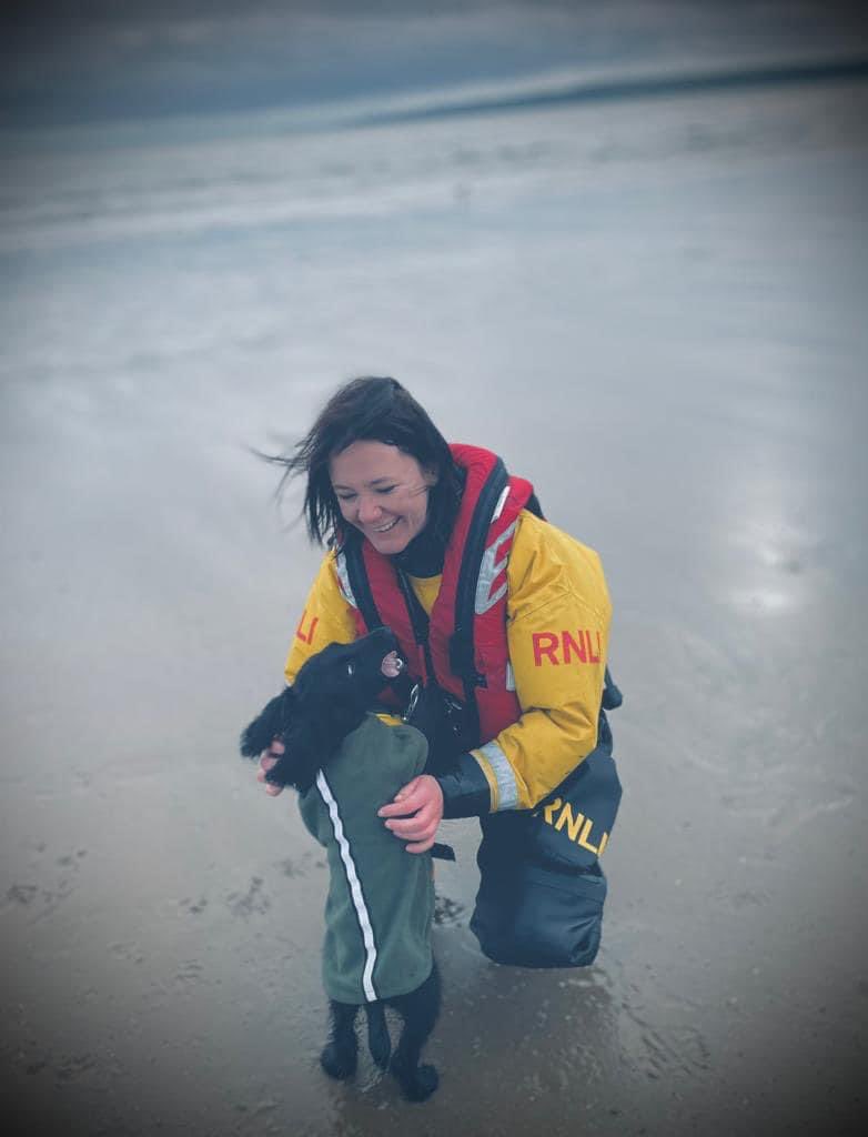 Jules Macauley tweet media