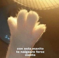 FotoCulos's tweet photo. @luvvkit @ecchi_aesth https://t.co/fKRgJOQtlX