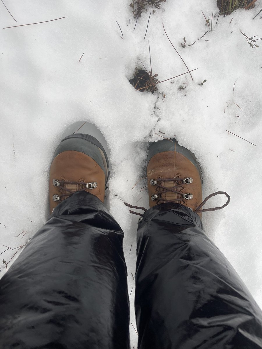 AmieMcc's tweet photo. Sunday Adventures ❄️🥾🏔 #cuilcaghboardwalk #cuilcaghmountain #sneachta #anfhuar https://t.co/PY5GRmqvhR