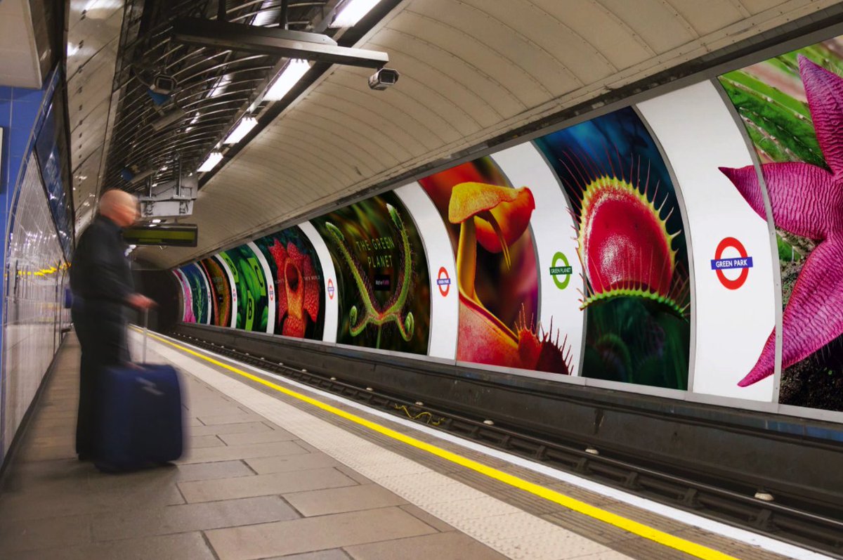 versdenkers's tweet photo. #GreenPlanet door @bbccreative is een tof voorbeeld van #adverteren in de openbare ruimte. Ook wel #guerrillamarketing genoemd. Wil je daar meer over weten? Schrijf je dan in voor #Nudging en #Guerrilla marketing op 14 en 21 april https://t.co/VbyfYFzNnM https://t.co/kI8IUGwqCK
