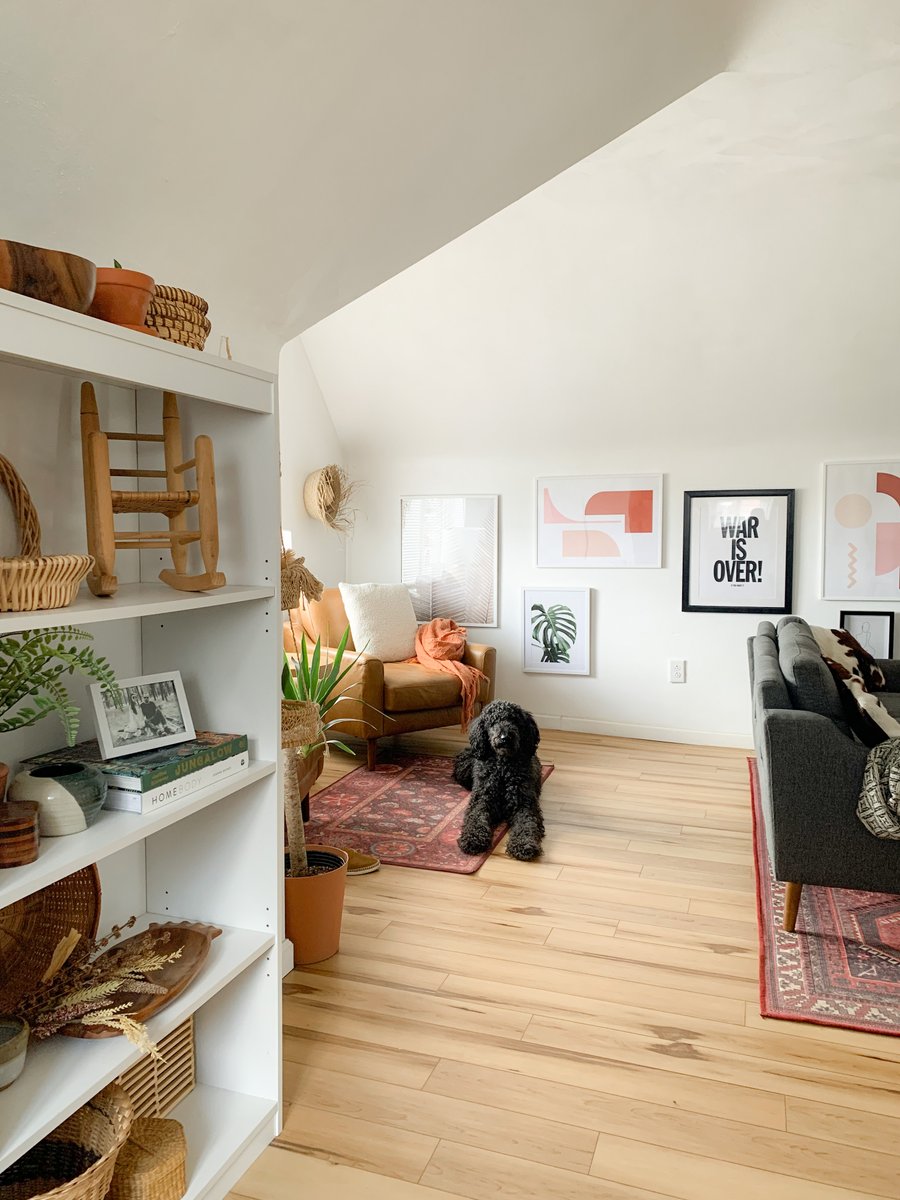theurbandarling's tweet photo. When your dog is so good at posing for photos! Indio my labradoodle is too cute not to share <3 #doodle #cutedogs #bohointeriordesign #boho https://t.co/ZcwvB8BFTX