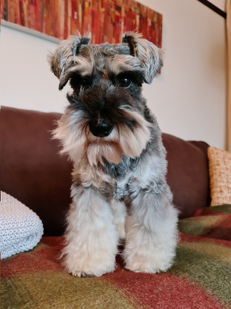 #NationalLoveYourPetDay ❤❤