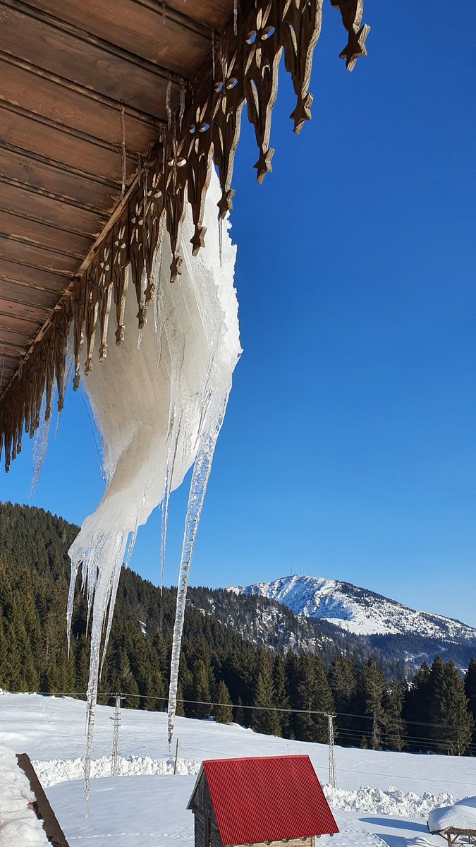 Giresun Kulakkaya Yaylası.Kar nedeniyle zor durumda olan sokak hayvanları <a href="/jandarma/">T.C. Jandarma Gn. K</a> tarafından besleniyor. Kısırlaştırma yapılmadığı için 9 can daha sokağa katıldı.4'ü soğuktan ölmüş. Bir kasap yavrulara bakmaya çalışıyor. Topu topu 5 köpek var...
<a href="/belediyegiresun/">Giresun Belediyesi</a> <a href="/TC_giresun/">T.C. Giresun Valiliği</a>