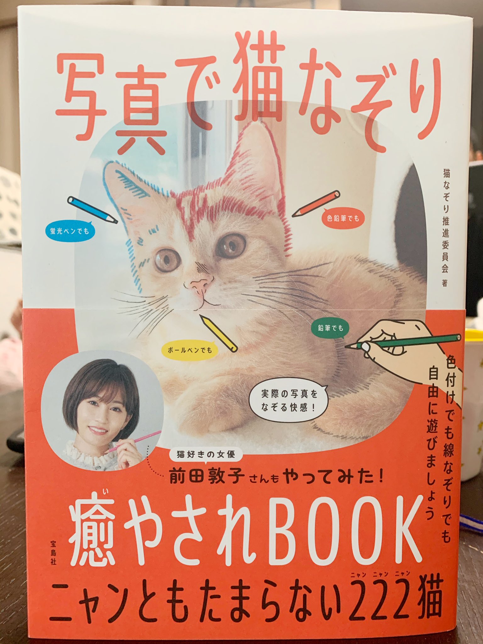 写真で猫なぞり 癒やされbook 2 19発売 Nekonazori Twitter