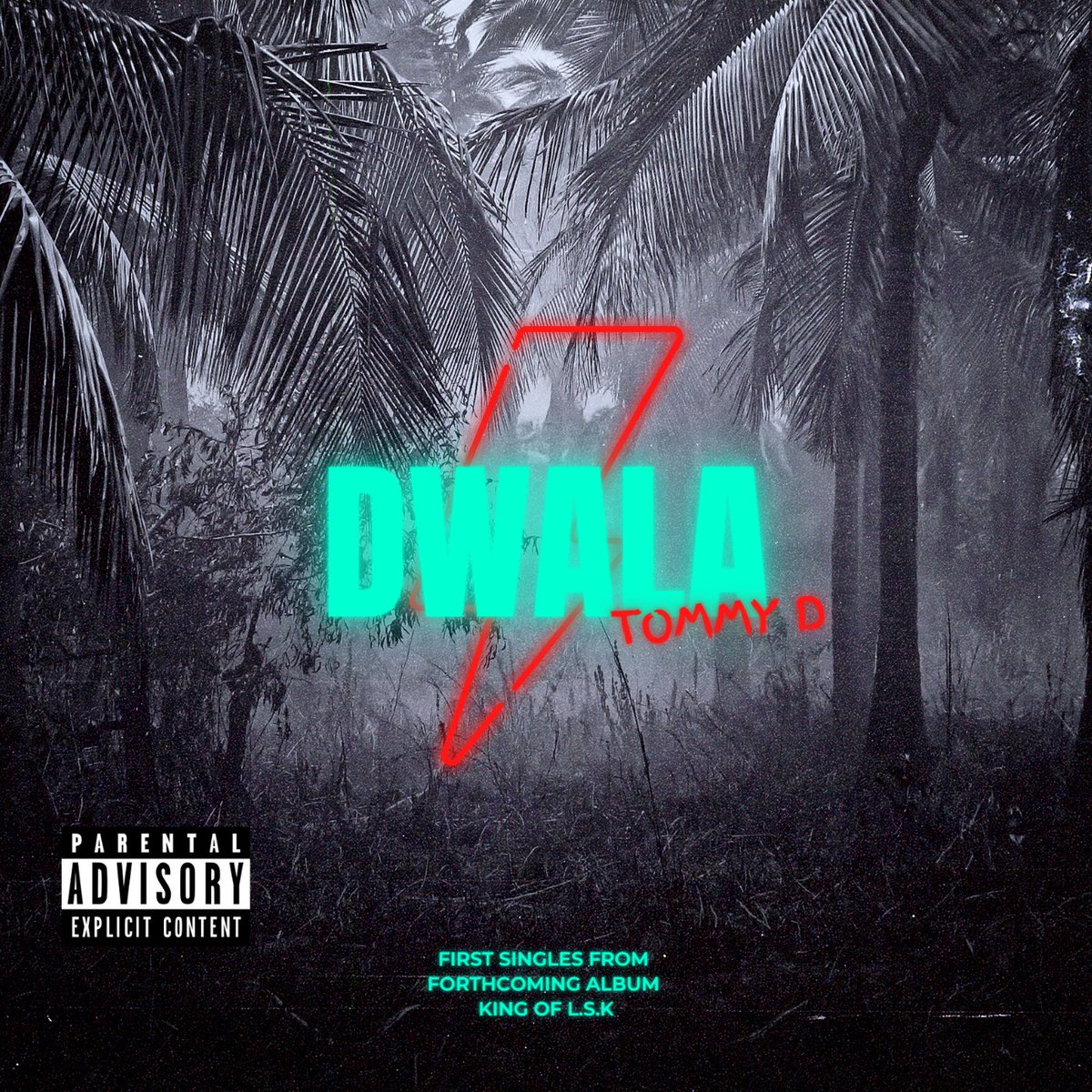 #nowplaying Tommy D  Namafela - Dwala by tommydnamafela via <a href="/audiomack/">Audiomack</a> audiomack.com/tommydnamafela…