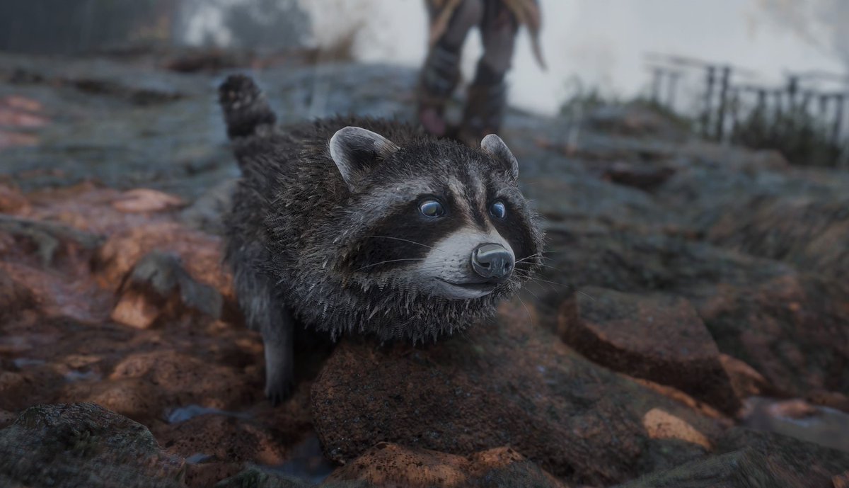 Fuck_off_Matt's tweet image. ANIMAL NO HORIZON FORBIDDEN WEST

vs

ANIMAL NO SEA OF THIEVES

🏃🏃🏃🏃🏃🐑🐑🐑🐑🐑