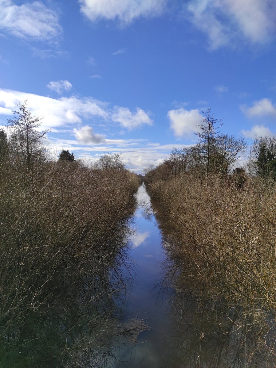 Lovin Limerick tweet media