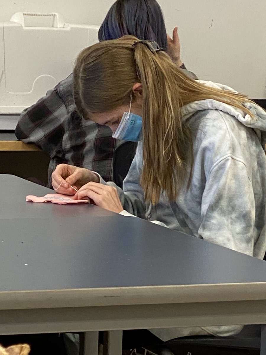 MsDFamConSci's tweet image. Ah Soring must be near! Sewing has begun and it’s sew interesting, sew fun and sew soothing. Sew very zen…Sew try it someday! Course selections are coming up! 🤔🧵🪡💙#sewingrocks, #handsewing, #learningnewstuff