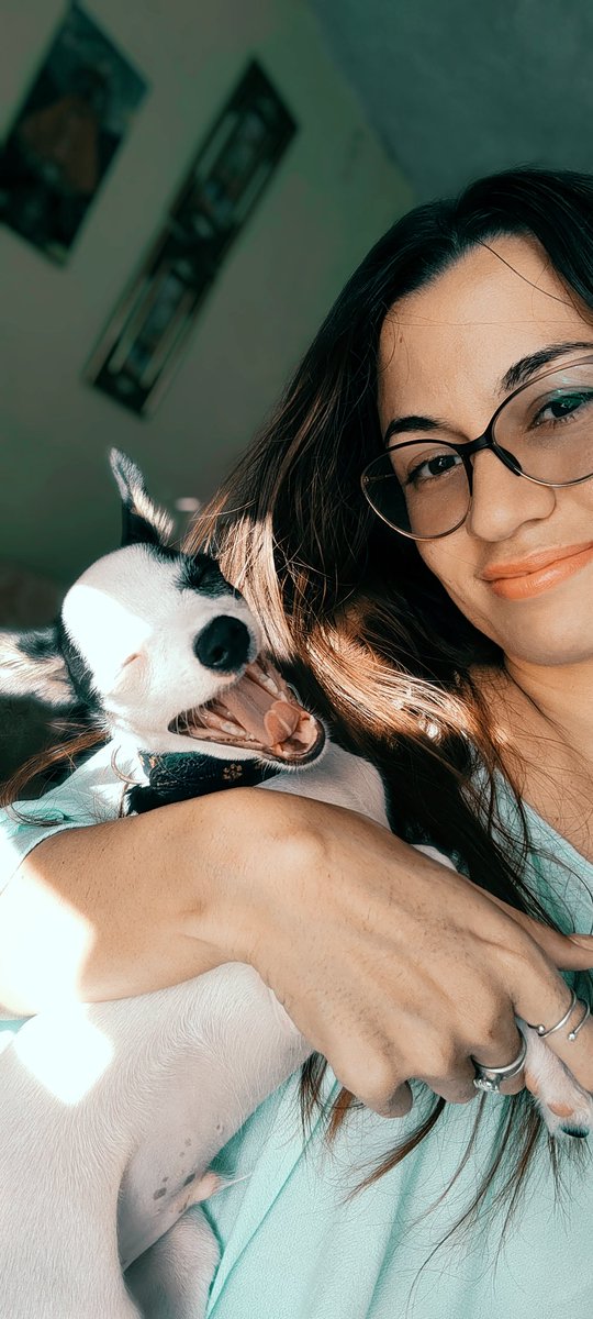 yo complico tweet media