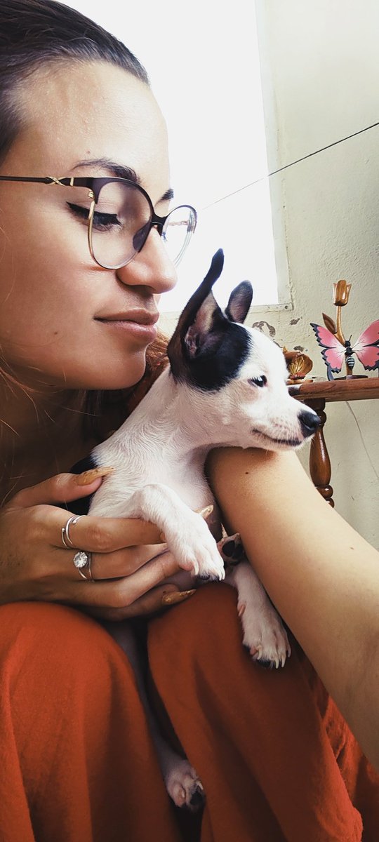 yo complico tweet media