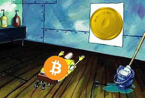 syria1992211's tweet photo. @wavesducks

@ducklization

@ElonMusk_AR

Quick profit and a great project
 #buysheg 
 https://t.co/0d35UIsoLe https://t.co/oI2KVnaKG2