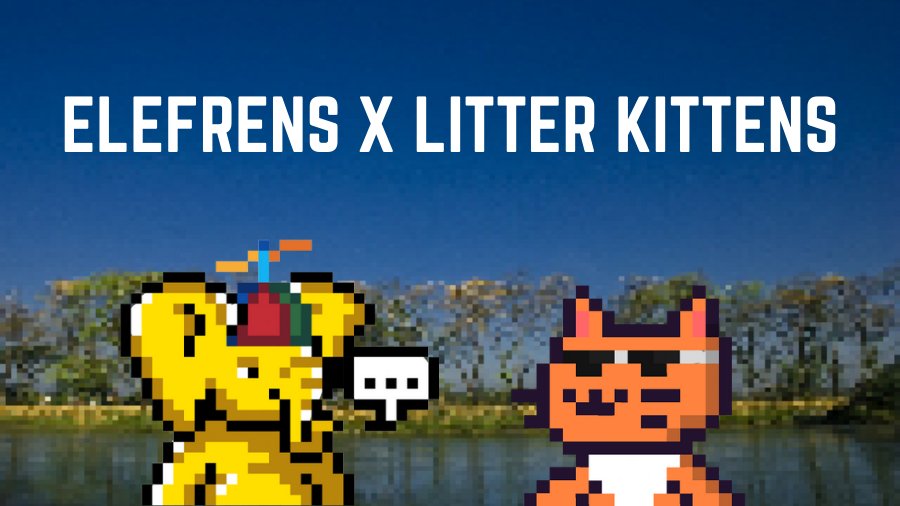 Elefrens tweet media