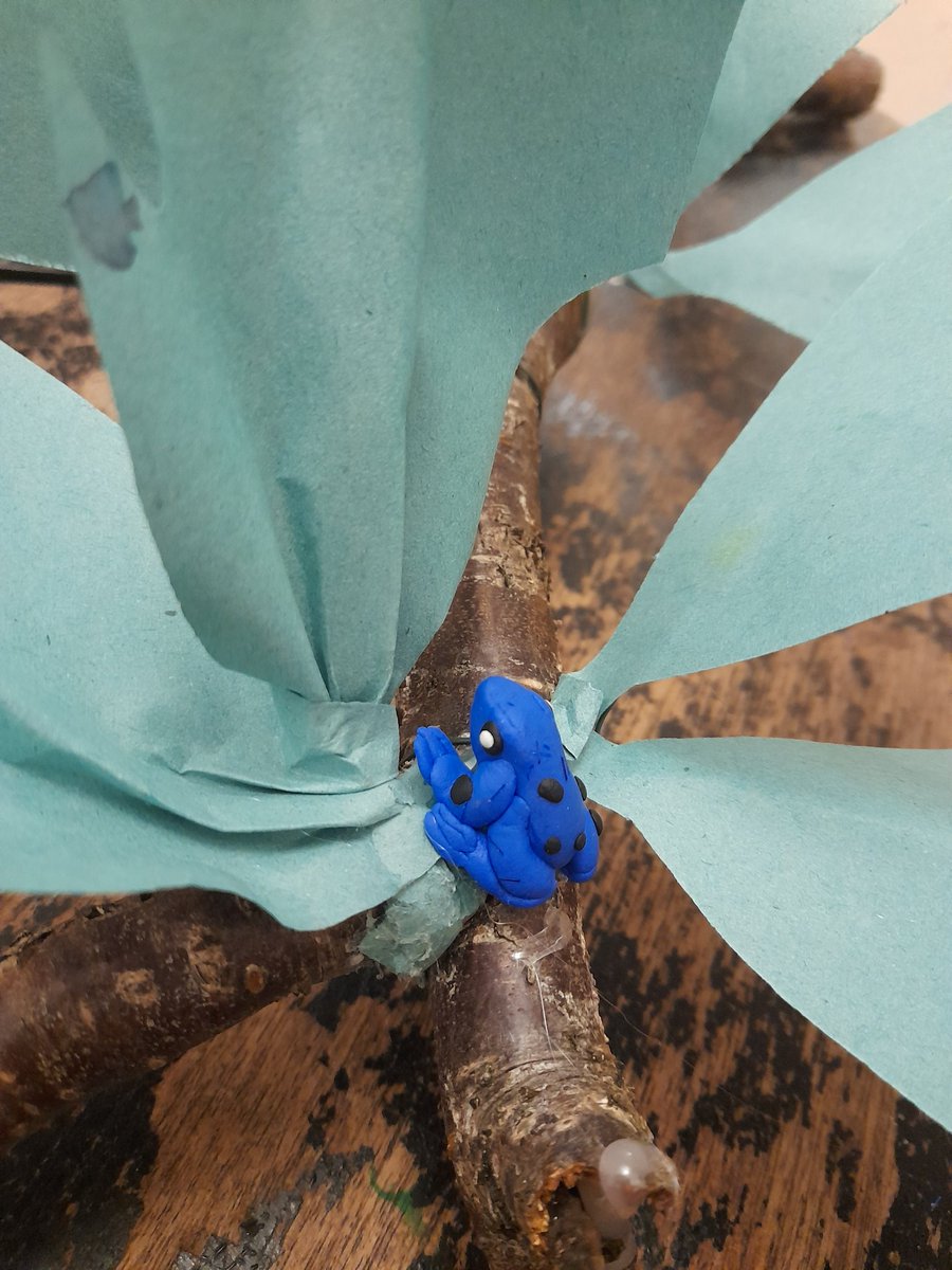 KHPA_MrsIreland's tweet photo. Rainforest homework for my eldest...I had too much fun helping him create the perfect setting for his clay models @SunnysideAcad #DTlead #teacher5aday #relaxing https://t.co/5BLAe9LP3l