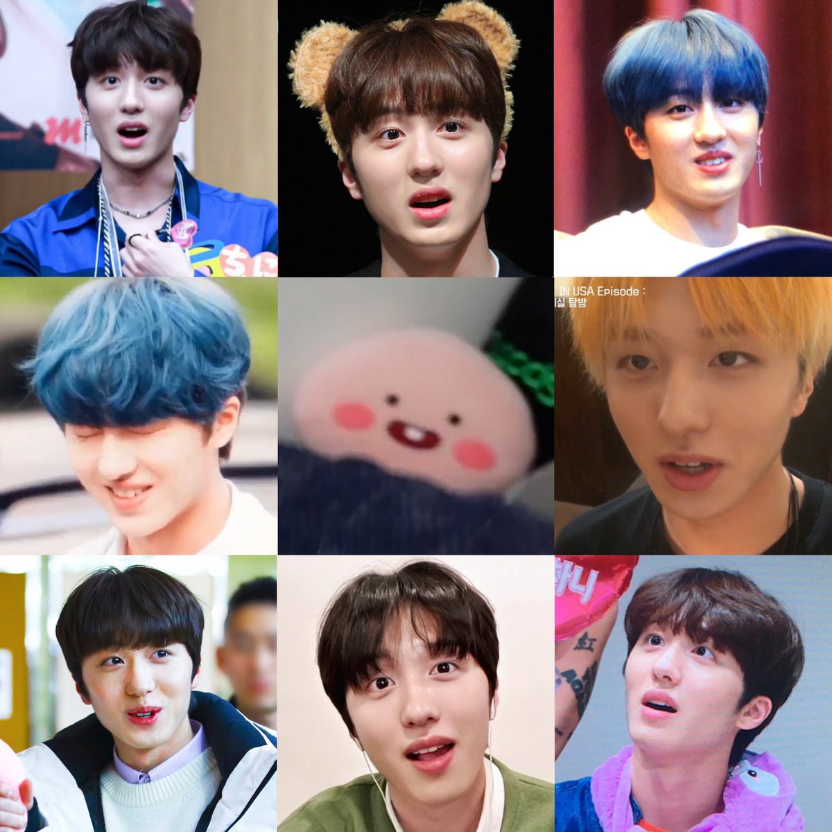 don't u love when #chani just 🐰