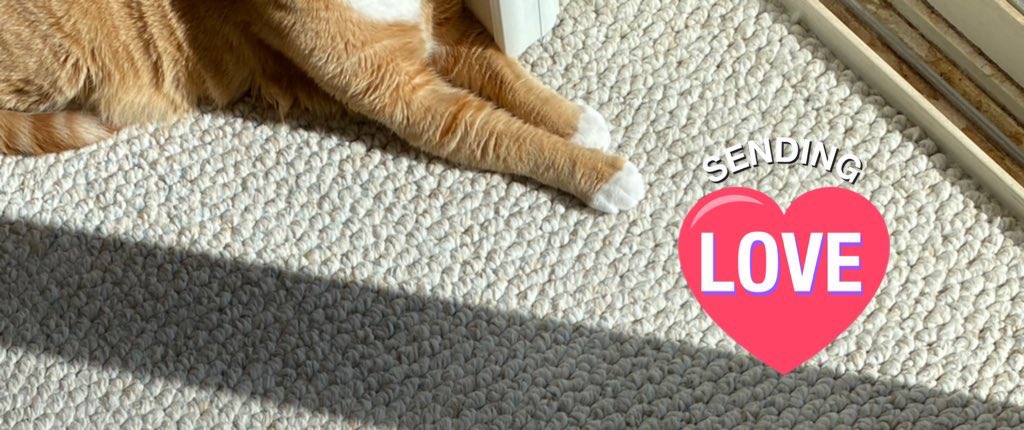 Brigadier Pumpkin da Mookin Rip Fwends🌈. tweet media