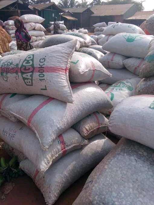 benjamin_export's tweet image. This is to inform you that 2022 cashew nuts season is here 
Make your own order now