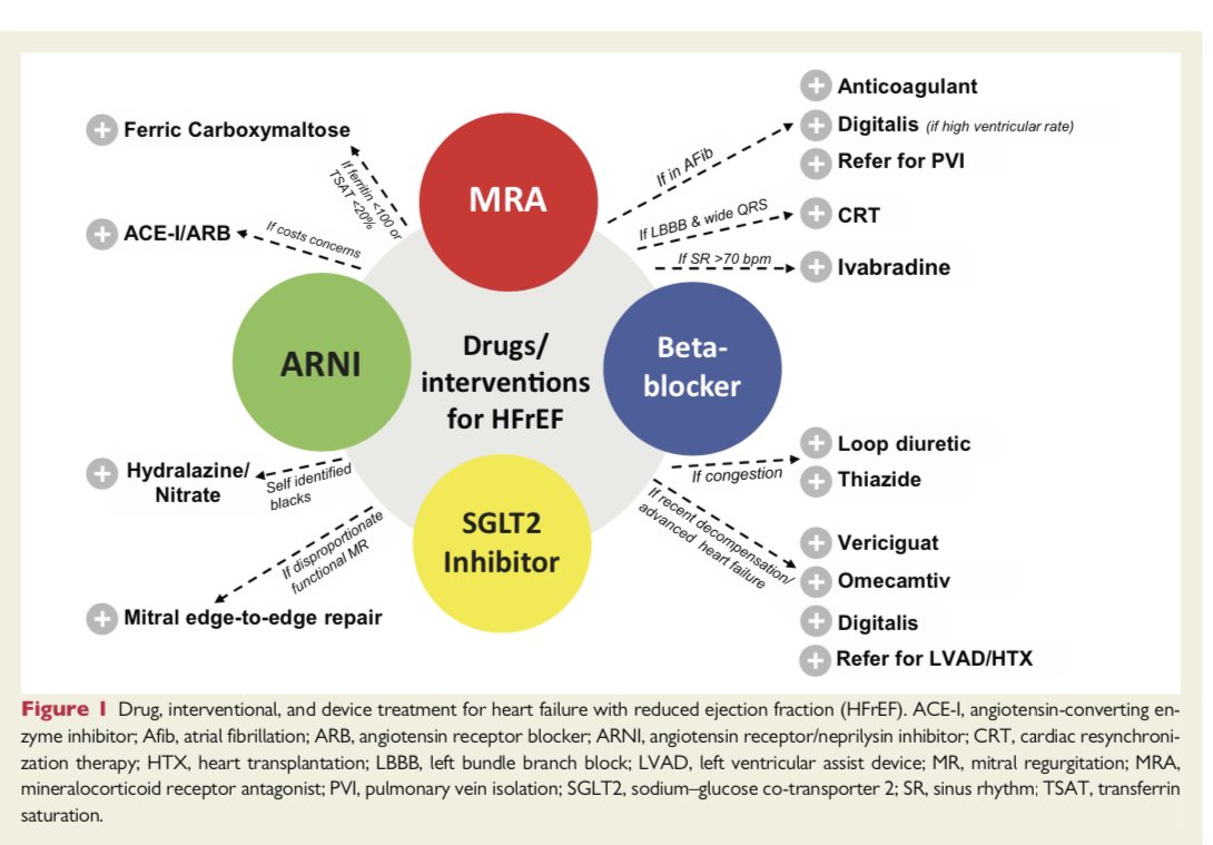 jvillacastin's tweet photo. Lo que tienes que saber sobre el tratamiento de la insuficiencia cardiaca. Súper resumido. Heart failure drug treatment: the fantastic four https://t.co/cHD16DPuGz https://t.co/ZcvTJr9GPg
