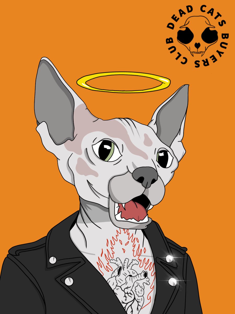 Deadcatsbc's tweet photo. Dead cats buyers club minting soon!!! 

Available soon at OpenSea 10.000 auto generated NFT’s each one of them with a unique dna to collect.   

#nfts #nft #nftart #nftcommunity #nftcollector #nftartist #cryptoart #digitalart #art #crypto #ethereum #blockchain #opensea https://t.co/cjTnCf1YbO