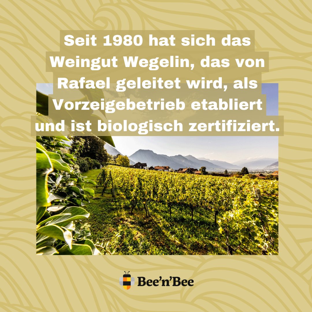 beenbee_ch's tweet photo. Mehr Artenvielfalt im Weinberg: Das ist das Ziel von Rafael Hug aus der Bündner Herrschaft. 

🐝🌼🐝 
https://t.co/j1eQSKNPCK

#beenbee #crowdfunding #support #biodiversität #biodiversitätschweiz #nachhaltigkeit #klimaschutz #klimachange #naturschutz #artenvielfalt #schweiz https://t.co/dV67JMa3dB