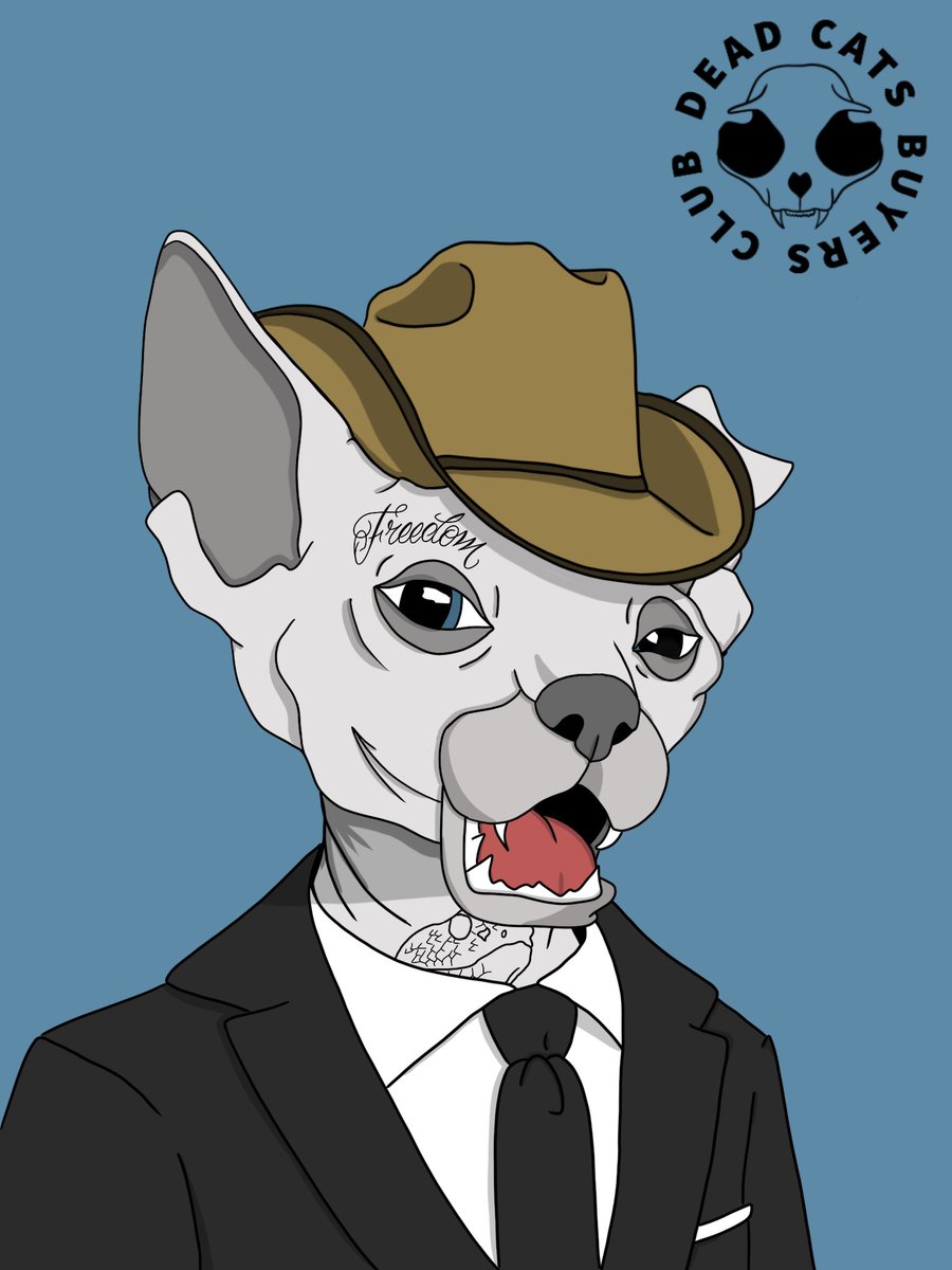 Deadcatsbc's tweet photo. Dead cats buyers club minting soon!!! 

Available soon at OpenSea 10.000 auto generated NFT’s each one of them with a unique dna to collect. 

#nfts #nft #nftart #nftcommunity #nftcollector #nftartist #cryptoart #digitalart #art #crypto #ethereum #blockchain #OpenSeaNFT https://t.co/SKw9U97UJO
